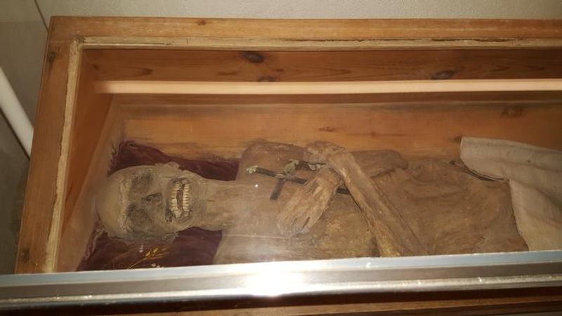 A photo of the mummified remains resting a in wooden box with a glass cover. The photo shows the upper body of the mummy with its head on display. The face has decayed down to the skull, demonstrating a rictus smile and empty eye sockets. The skin is light brown and leathery and the corpse is holding a small cross.  
