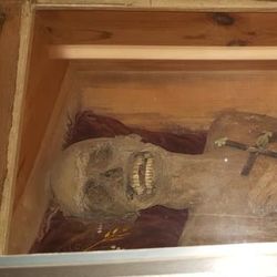 A photo of the mummified remains resting a in wooden box with a glass cover. The photo shows the upper body of the mummy with its head on display. The face has decayed down to the skull, demonstrating a rictus smile and empty eye sockets. The skin is light brown and leathery and the corpse is holding a small cross.  