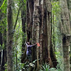 man holding on to a big tree