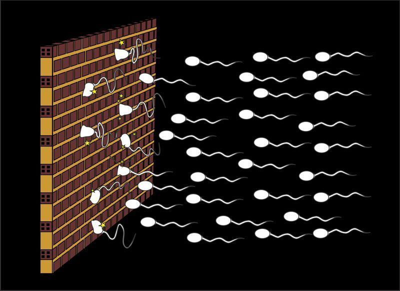 illustration of white sperm cells hitting a brick wall on a black background, representing barrier contraception