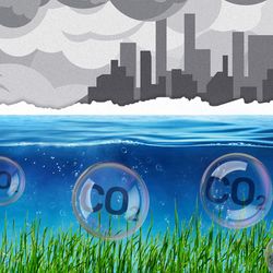 An image of sea grass under the ocean with bubbles coming up that say 'CO2' in them. Above the ocean is a greey, smog-filled image of industiral buildings