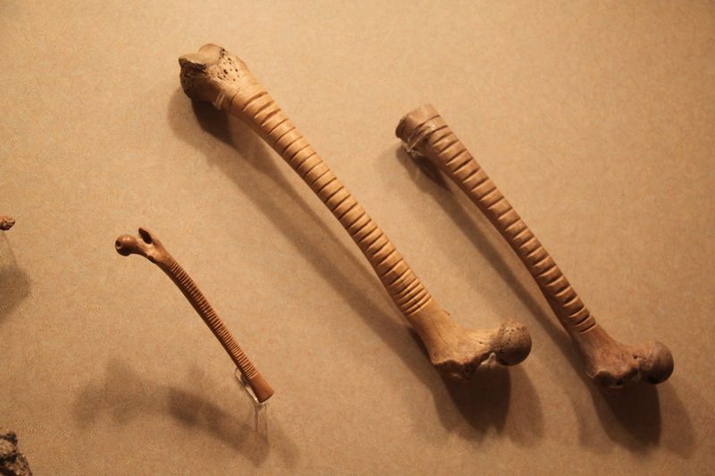 Bone instruments (human or animal) like these Aztec ones in the National Museum of Anthropology, Mexico, were not uncommon in pre-Hispanic Mexican cultures.