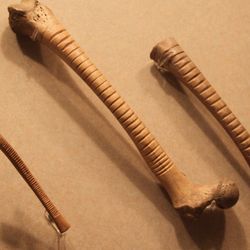 Bone instruments (human or animal) like these Aztec ones in the National Museum of Anthropology, Mexico, were not uncommon in pre-Hispanic Mexican cultures.