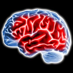 3D illustration of a blue brain on a black background with a large section of red to indicate inflammation.