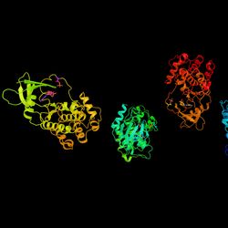 CDK7 protein structure