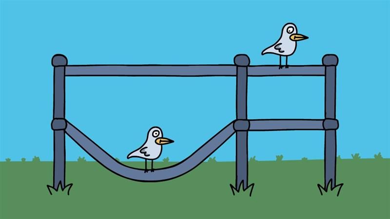 illustration of two seagulls standing on a metal fence; one of the fence bars is bent, making it look as though the seagull is responsible