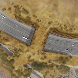 An artist's impression of what the Wallis Annenberg Wildlife Crossing will look like upon completion; bird's eye view of the Ventura Freeway, with a wide, plant-covered bridge stretching across it