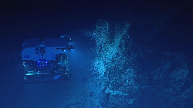 An NOAA submarine deep sea explorer looking around the atlantic ocean seabed and corals.
