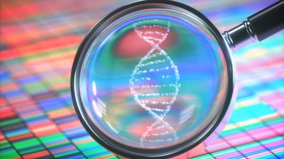3D illustration. DNA Sanger Sequencing and a Magnifying Glass Showing the DNA Helix.