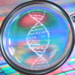 3D illustration. DNA Sanger Sequencing and a Magnifying Glass Showing the DNA Helix.
