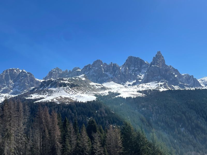 view of dolomite mountains with spruce forest in the foreground