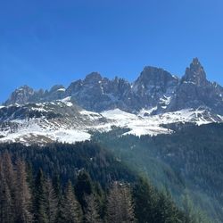view of dolomite mountains with spruce forest in the foreground