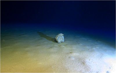 Human trash, like plastic, found bottom of the Calypso Deep, an underwater depression in the Ionian Sea, c