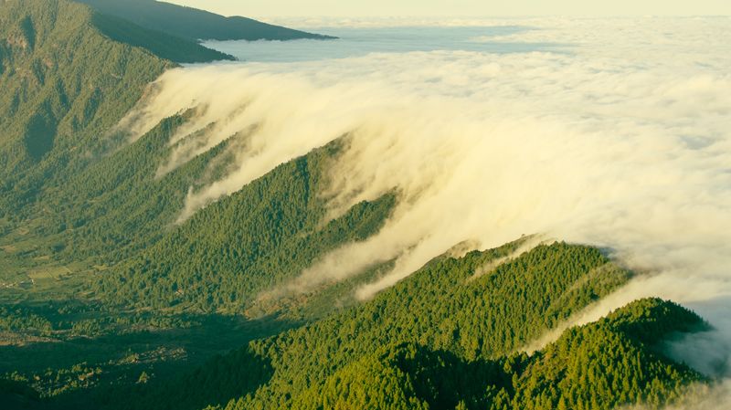 photograph of a green, mountainous area demonstrating the foehn effect; one side is sunny, the other is covered in white cloud