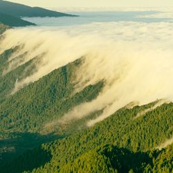 photograph of a green, mountainous area demonstrating the foehn effect; one side is sunny, the other is covered in white cloud