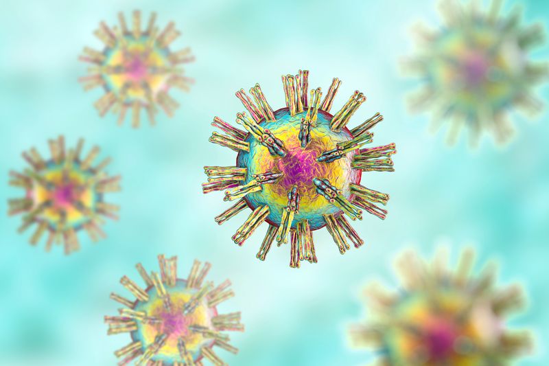 3D illustration of herpes simplex virus particles