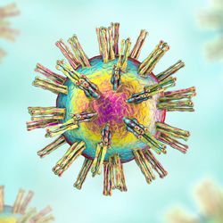 3D illustration of herpes simplex virus particles