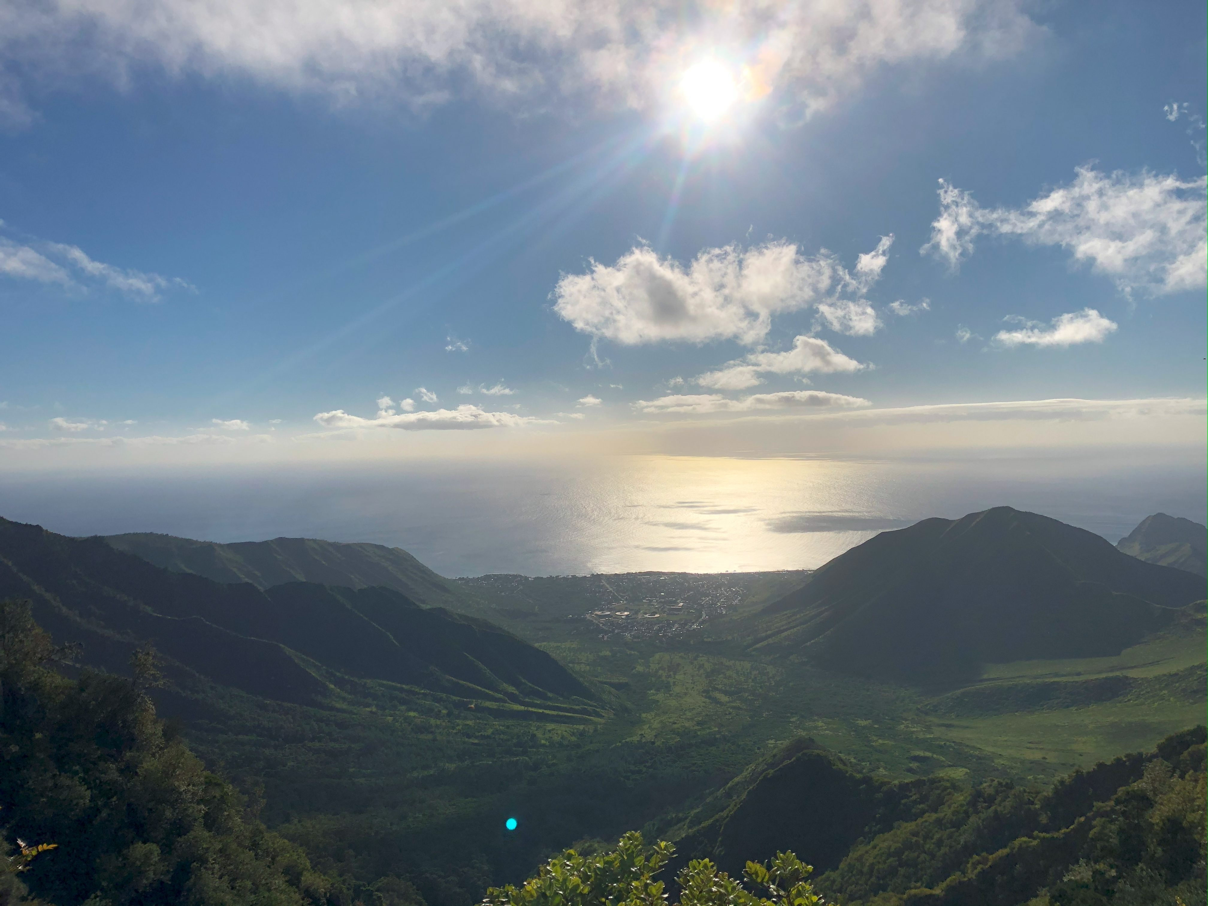 The beauty of the island on which it lives provides a welcome contrast to the horrors of the caterpillar. The beauty of the island on which it lives provides a welcome contrast to the horrors of the caterpillar.