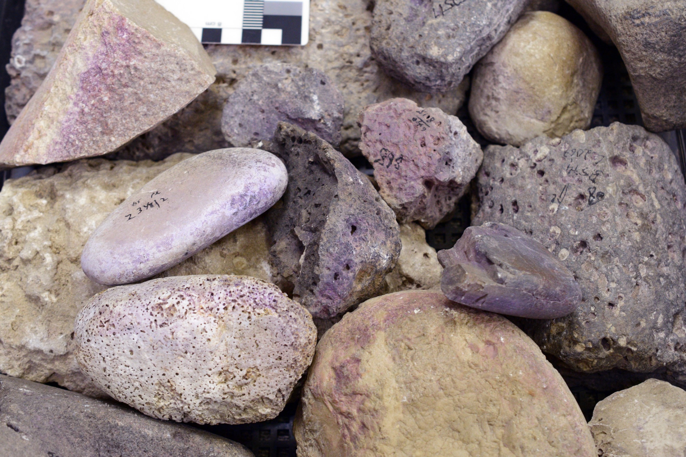 Stone tools with purple dye residue Stone tools with purple dye residue