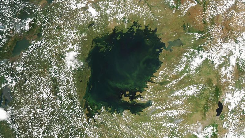 True-color satellite image of Lake Victoria