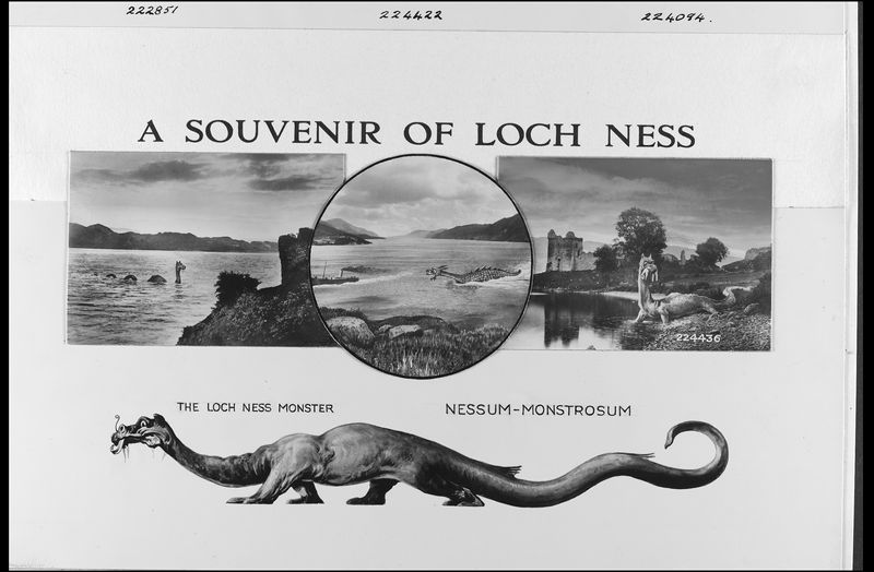 A postcard of Loch Ness showing three hand drawn images of the Loch arranged in two square frames with a circle frame in the middle. The first square image shows the typical long necked monster with two humps jutting out of the water by an embankment. The middle circular image shows the open water with a steam boat travelling towards the left and a large dragon-like monster chasing it with its mouth open. The final square picture shows a drawing of Urquhart Castle in the background and a long necked monster resting on the bank of the Loch, looking towards the viewer. Under these three images is a drawing of a long slender monster with four legs and a long curled tail on profile. Above these is the title "A Souvenir of Loch Ness".