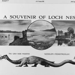 A postcard of Loch Ness showing three hand drawn images of the Loch arranged in two square frames with a circle frame in the middle. The first square image shows the typical long necked monster with two humps jutting out of the water by an embankment. The middle circular image shows the open water with a steam boat travelling towards the left and a large dragon-like monster chasing it with its mouth open. The final square picture shows a drawing of Urquhart Castle in the background and a long necked monster resting on the bank of the Loch, looking towards the viewer. Under these three images is a drawing of a long slender monster with four legs and a long curled tail on profile. Above these is the title "A Souvenir of Loch Ness".