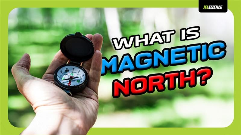 A man holding a compass