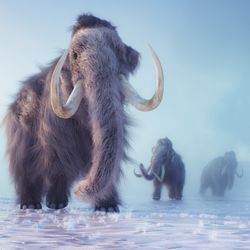 3D rendered illustration of Mammoth in a winter landscape. 