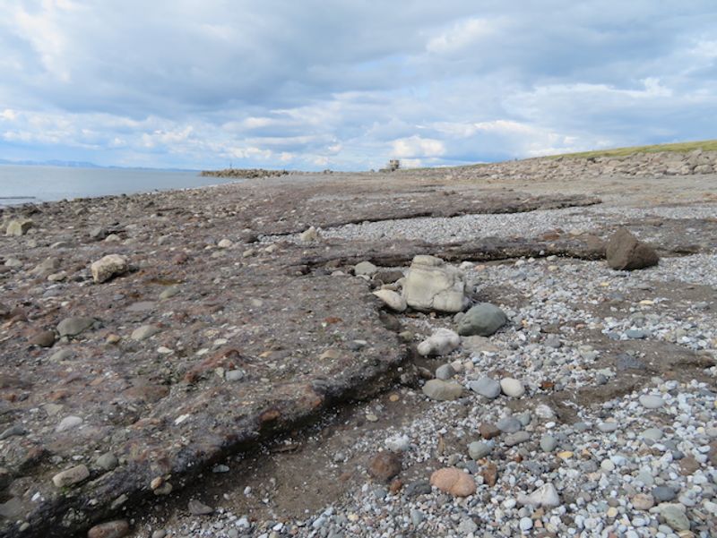 New type of rock made from industrial waste found in Derwent Howe, West Cumbria