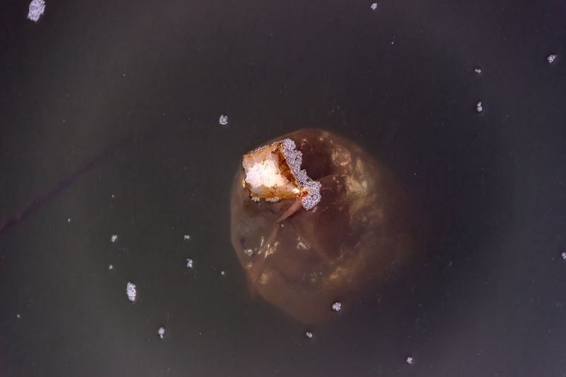 PFAS in the water. 