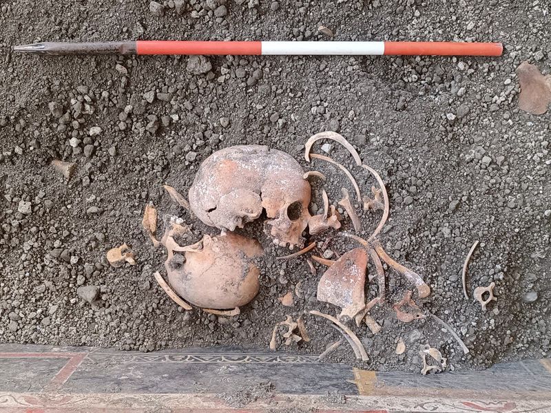 The skull of a Pompeii victim