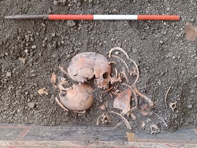The skull of a Pompeii victim