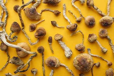 Dried magic mushrooms