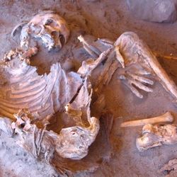 A 7,000-year-old mummy from the Green Sahara