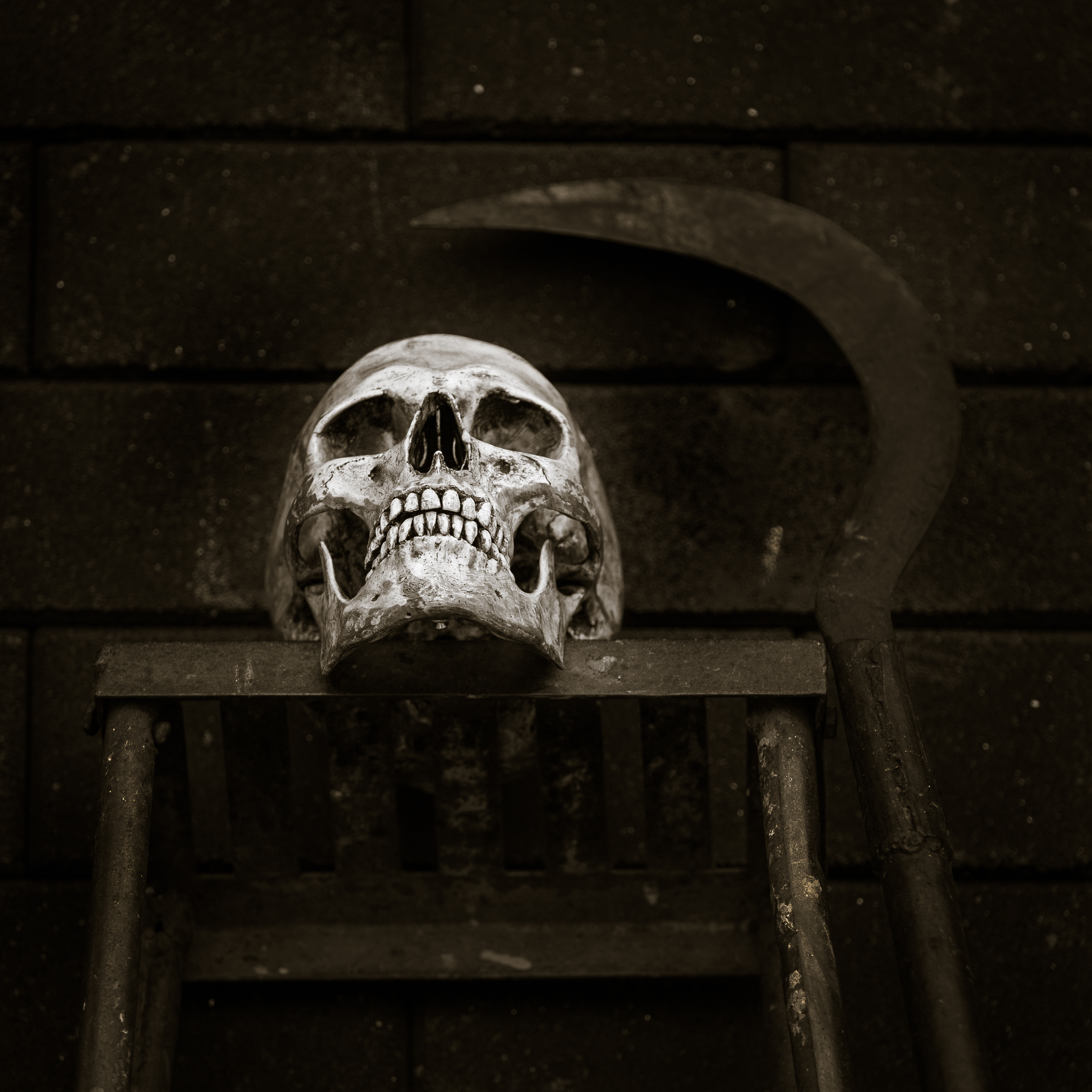 Skull on a stool with a sickle resting against a wall Skull on a stool with a sickle resting against a wall