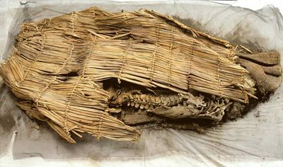 Mummy of Spirit Cave Man