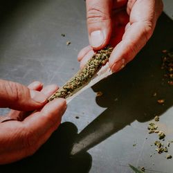 Person rolling a joint
