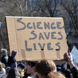 two placards being held up at the Stand up for Science rally in Washington Square Park, Manhattan, on March 7 2025. One reads "Science makes life better" and the other reads "Science saves lives"