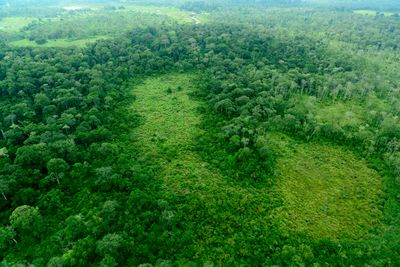 An aerial photo of the forests of the Congo Basin showing a large patch of trees surrounding a small clearing.  