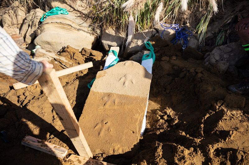 Sandstone showing 3 clear moa footprints with 3 toes.