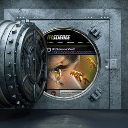 An image of the vault doors opening with a screenshot of the IFLScience Vault article. 