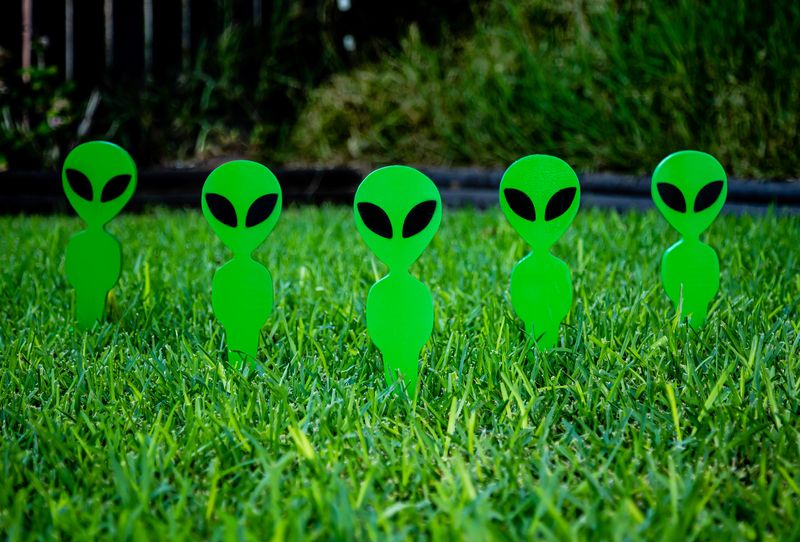 Five small typically alien-shaped lawn ornaments are standing in a V formation facing the camera. They are planted in the ground and probably about 4 to 5 inches tall. They are green and have large heads with black eyes. 