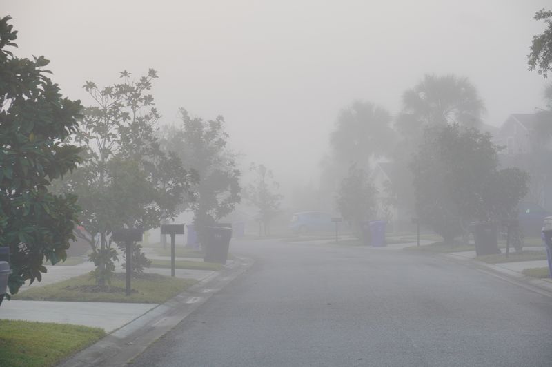 Thick fog over a Florida road