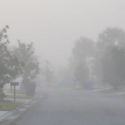 Thick fog over a Florida road