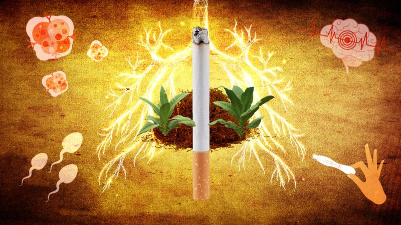 collage representing the health effects of tobacco use: pictured is a cigarette, a pile of dried tobacco, tobacco plants, a hand holding a pregnancy test, sperm, a brain, and cancer cells