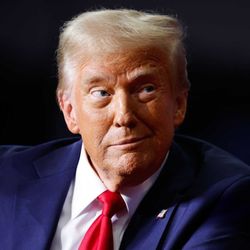 President of the US, businessman man, and star of the hit reality TV show "The Apprentice": Donald Trump