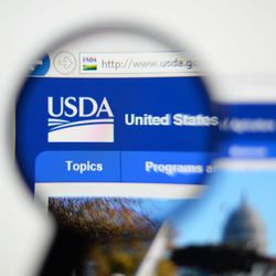 A photo showing a close up of the USDA's company symbol on its website, just below the URL bar. The closeup is framed within an effect that makes it look like it is being examined by a magnifying glass. 