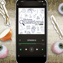 What Happens To Eyes During The Mummification Process
