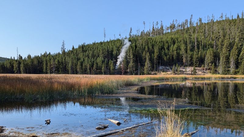 Looking south from near a pullout along the Mammoth to Norris road just north of the Nymph Lake overlook. On the other side of the marsh is a tree-covered rhyolite lava flow, and at the base of the flow is a new thermal feature marked by a plume of steam and that formed in early August 2024.