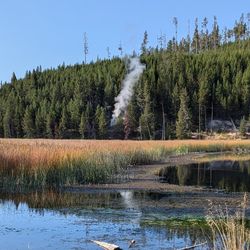 Looking south from near a pullout along the Mammoth to Norris road just north of the Nymph Lake overlook. On the other side of the marsh is a tree-covered rhyolite lava flow, and at the base of the flow is a new thermal feature marked by a plume of steam and that formed in early August 2024.